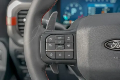 Ford F 150 — poza 2