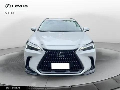 NX